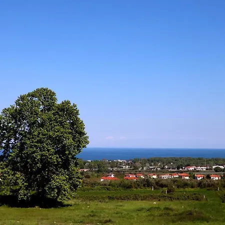 Elioj House * Leptokarya (Pieria)