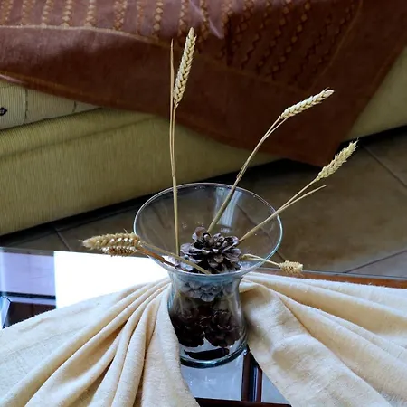 Villa Elioj House Leptokarya (Pieria)