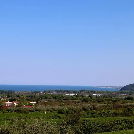 فيلة Elioj House