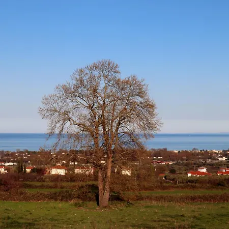 Elioj House Villa Leptokarya (Pieria)